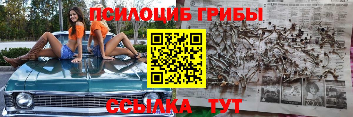 Псилоцибиновые грибы ЛСД Новокузнецк
