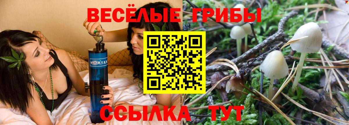 Псилоцибиновые грибы мицелий  Вход с VPN  Новокузнецк 